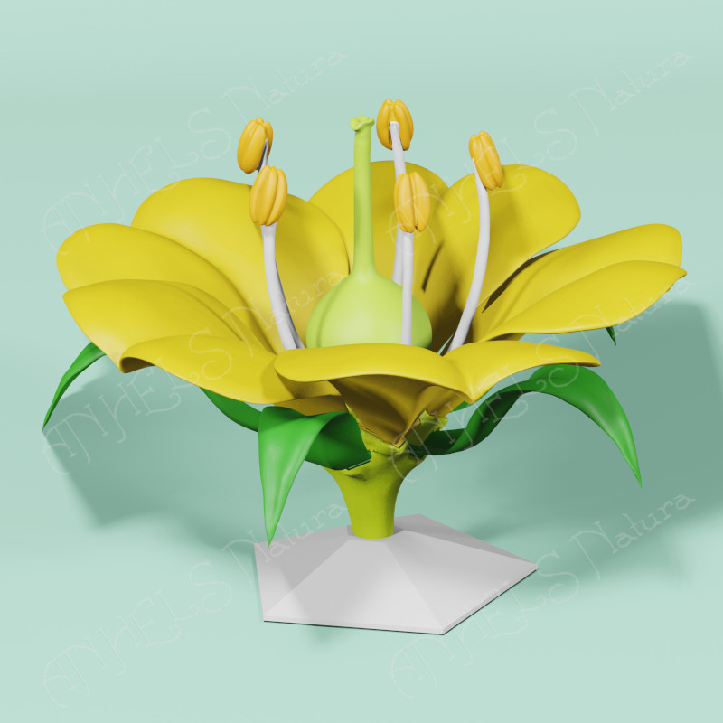 Flor 3D