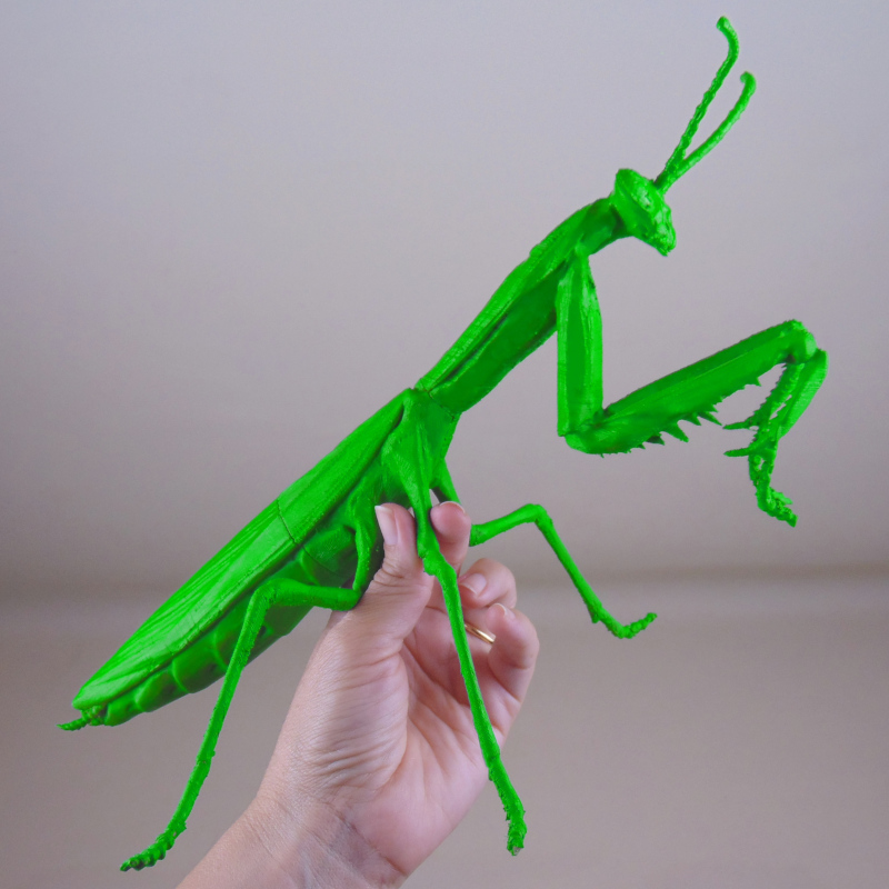 Mantis impresin 3D