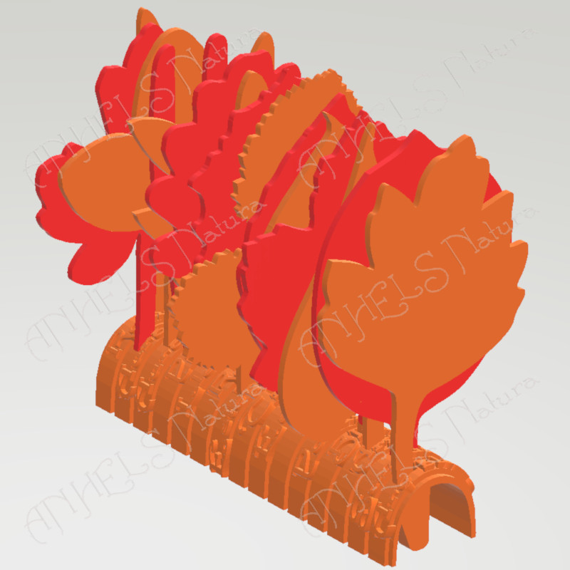 plantes conixer