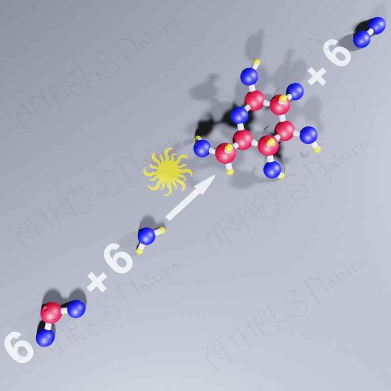 reaccion quimica fotosintesis 3D